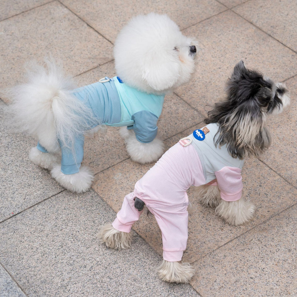 Pet Mesh Suit | Breathable 4-Leg Summer Outfit for Dogs & Cats