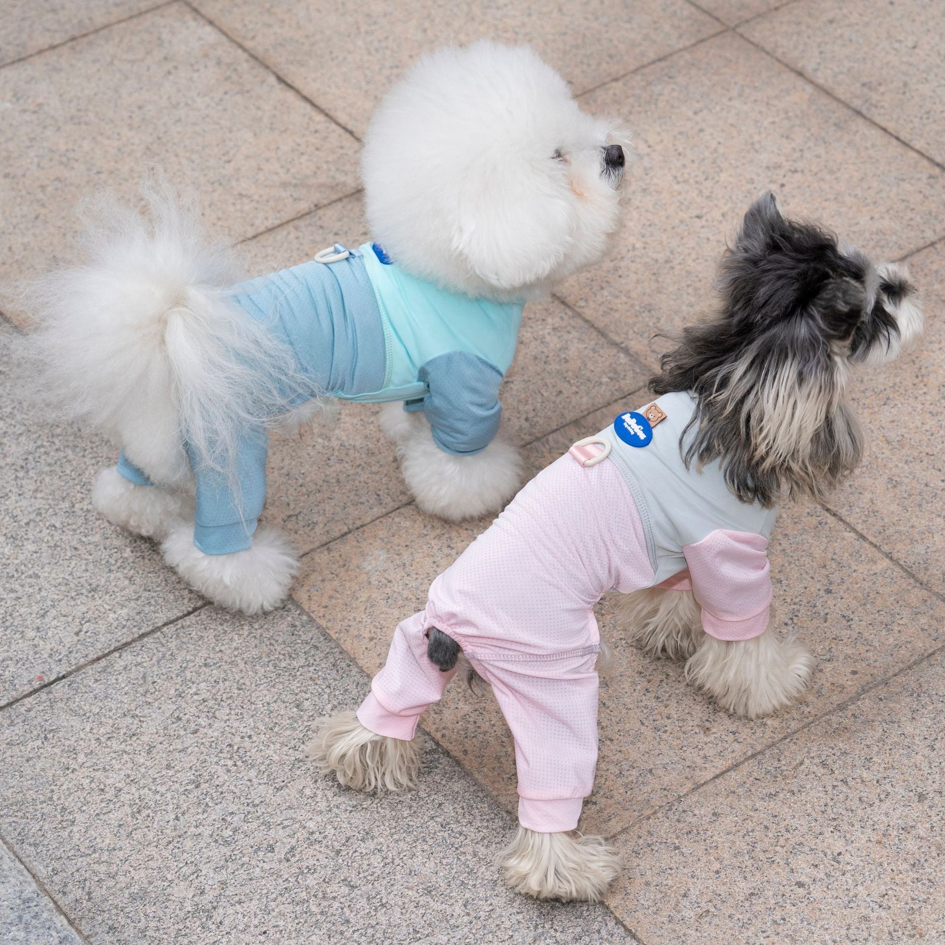 Pet Mesh Suit | Breathable 4-Leg Summer Outfit for Dogs & Cats