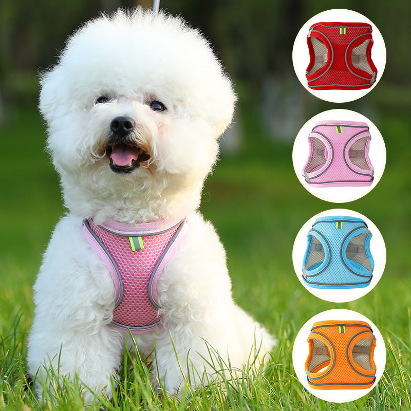 Dog Harness & Leash Set | Reflective Nylon Walking Set for Dogs & Cats
