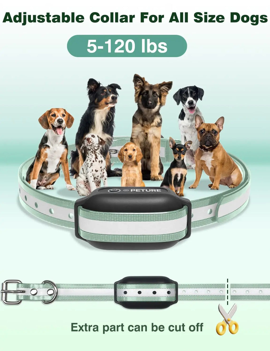 Dog e-collar built-in flashlight for night training — Pawnests