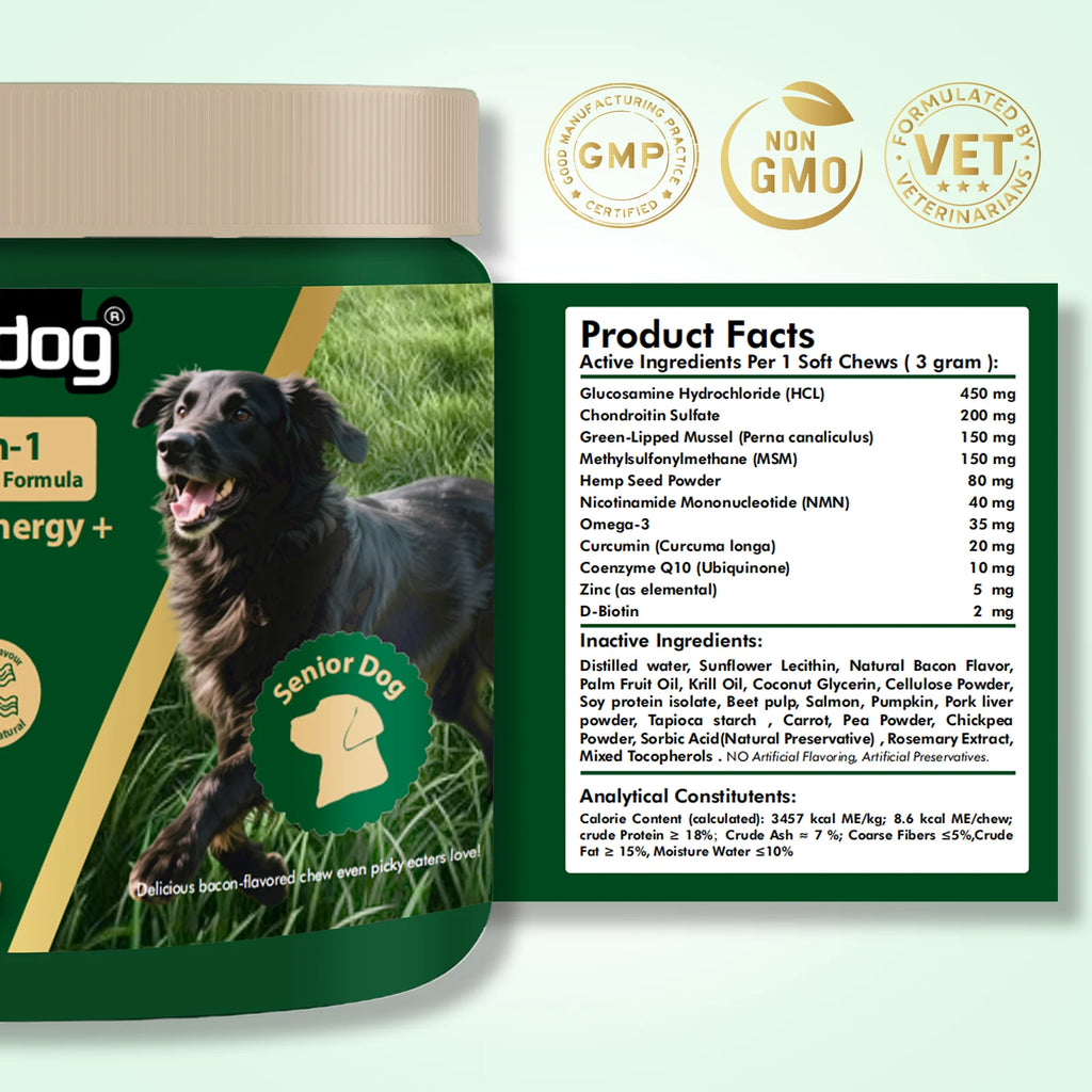 Dog supplement benefits chart — joint, energy, coat support | Pawnests
