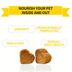 20-in-1 dog supplement benefits — joint skin coat immunity | Pawnests