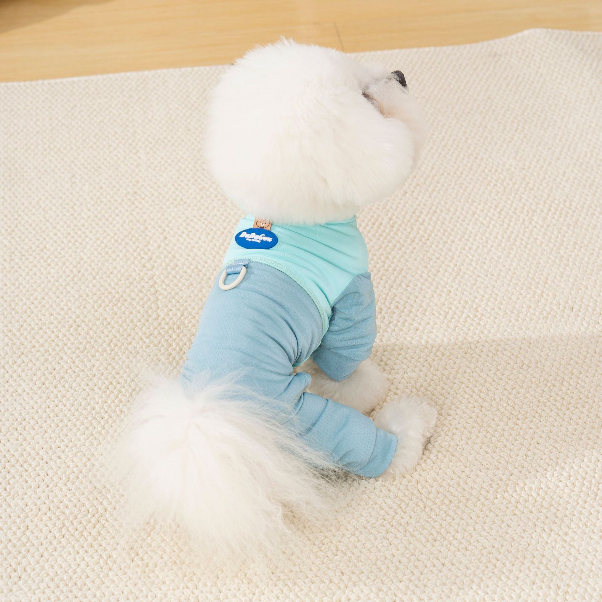 Pet Mesh Suit | Breathable 4-Leg Summer Outfit for Dogs & Cats