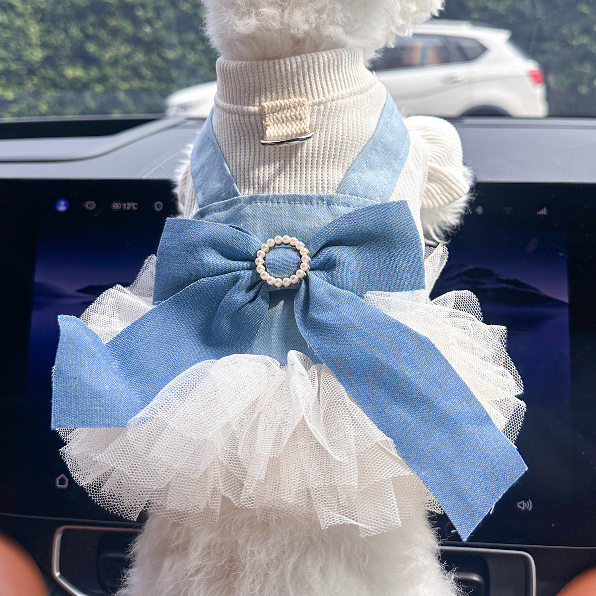 Pet Denim Skirt | Cute Summer Dress for Small Dogs & Cats – product image 33 | Pawnests