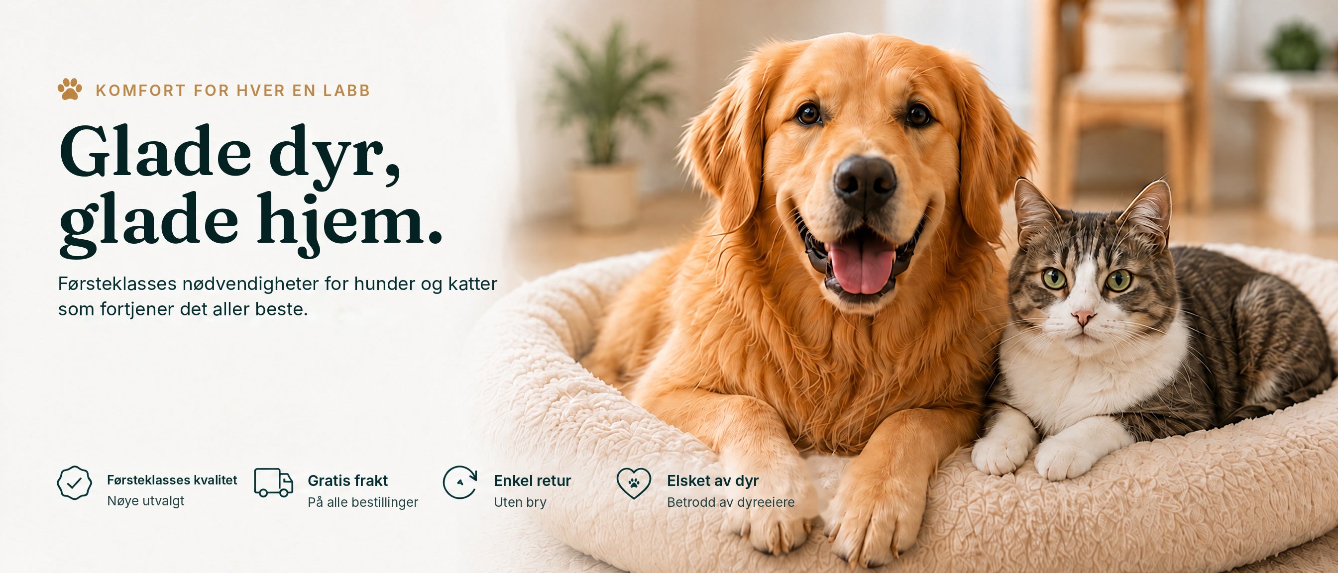 Pawnests