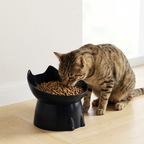 Tabby cat eating from a black raised tilted cat bowl on a wooden floor | Pawnests