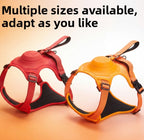 Dog Harness & Retractable Leash Set | Anti-Escape Walking Kit