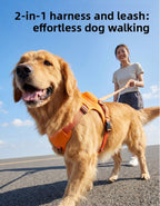 Dog Harness & Retractable Leash Set | Anti-Escape Walking Kit