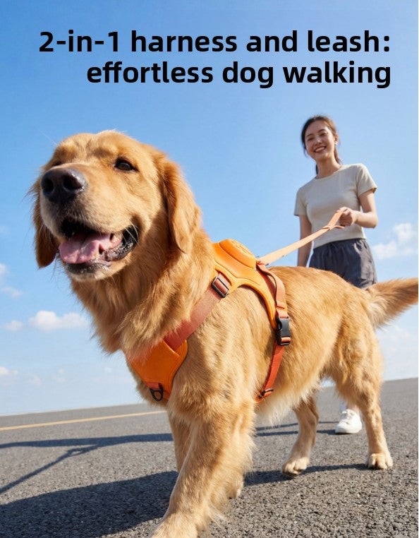 Dog Harness & Retractable Leash Set | Anti-Escape Walking Kit