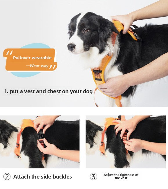 Dog Harness & Retractable Leash Set | Anti-Escape Walking Kit