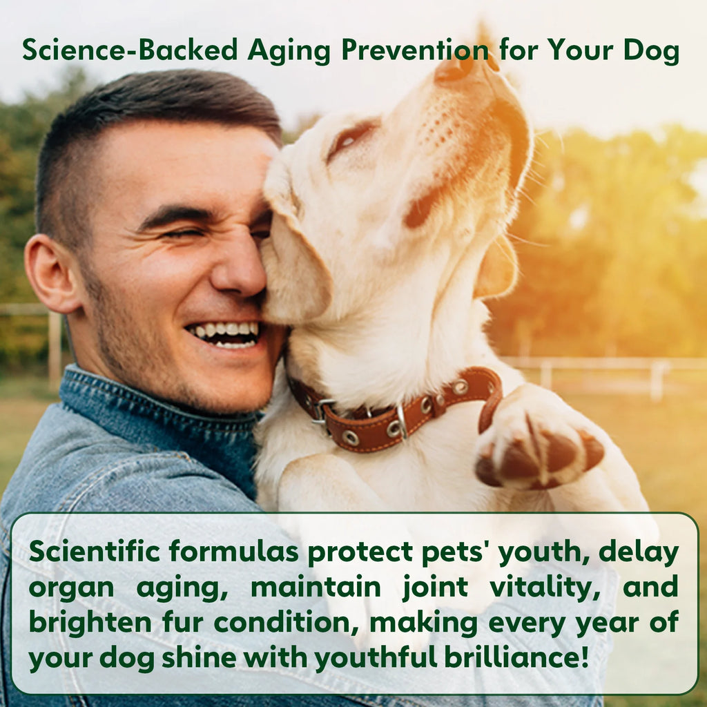NAD+ booster soft chews for senior dogs — 270g 90 chews | Pawnests