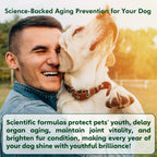 NAD+ booster soft chews for senior dogs — 270g 90 chews | Pawnests