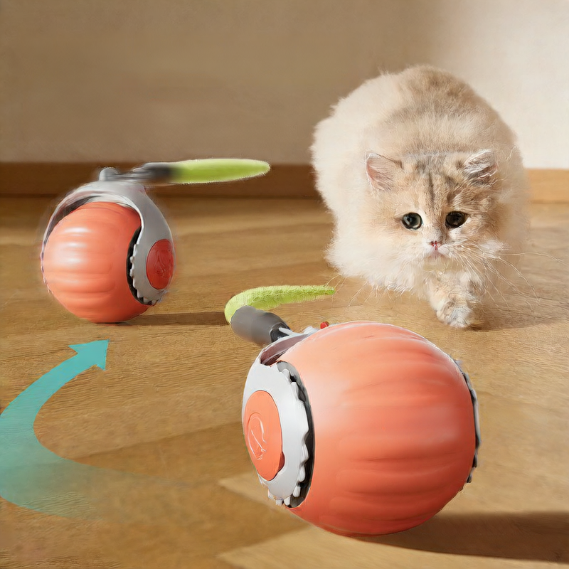 Automatic cat toy ball size and style comparison | Pawnests