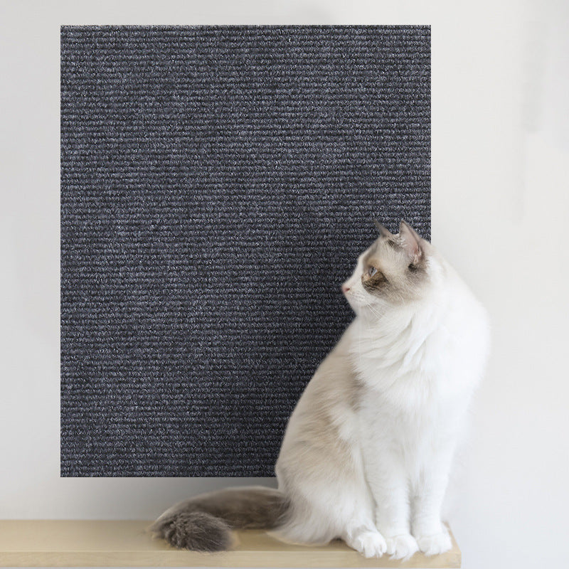 Cat scratch protector applied to wall baseboard | Pawnests