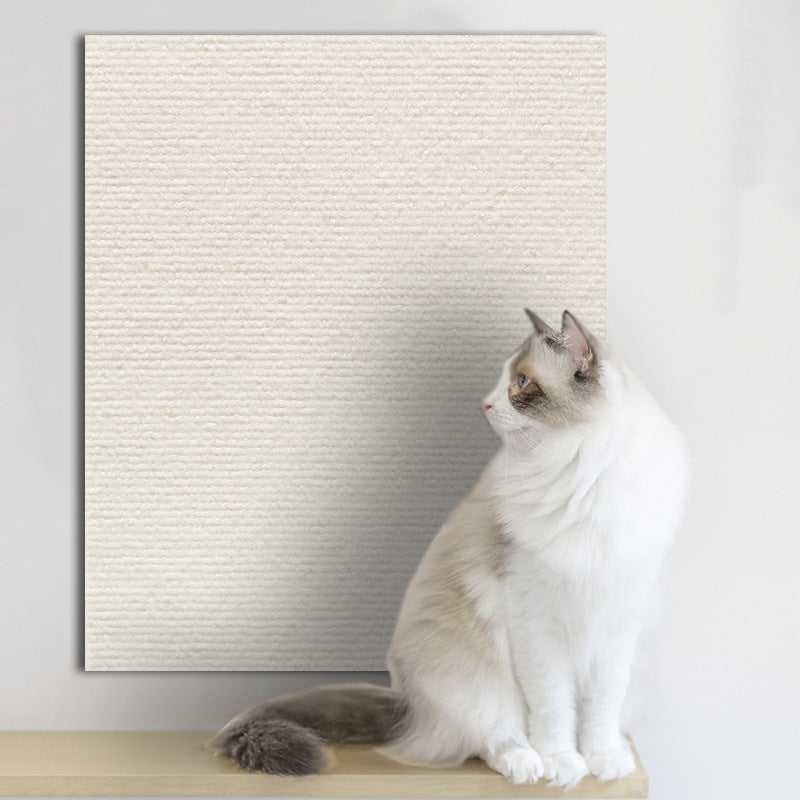 Cat scratching protected wall panel in living room | Pawnests