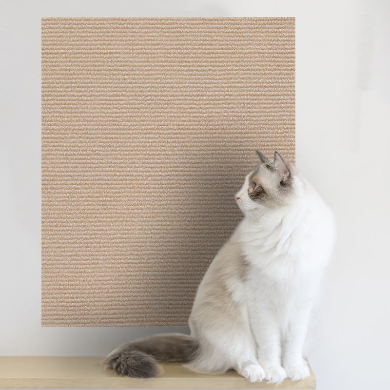 Cat playing near protected furniture corner | Pawnests