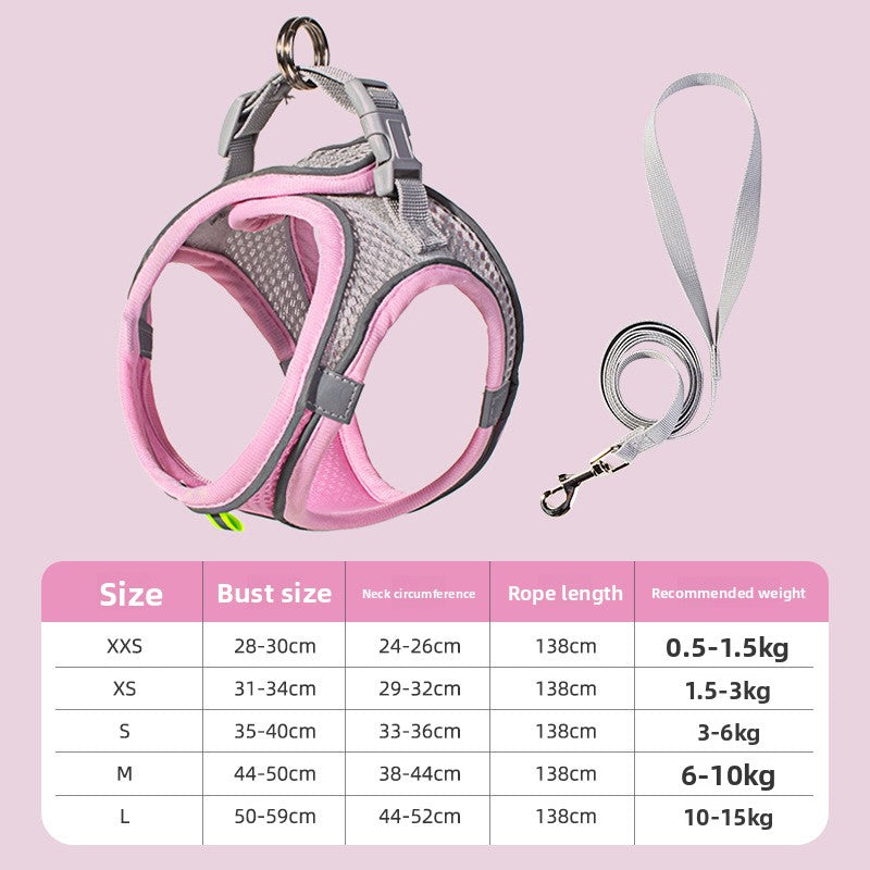 Dog harness and leash set on medium dog — S size green and grey | Pawnests