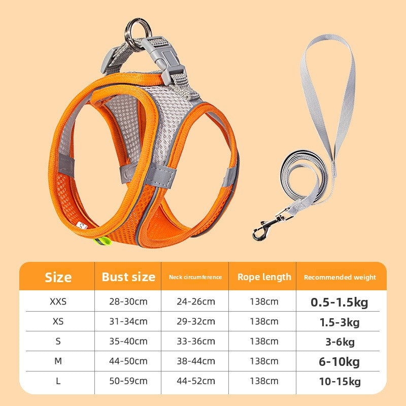 Dog harness and leash set size guide — XXS to L fitting chart | Pawnests