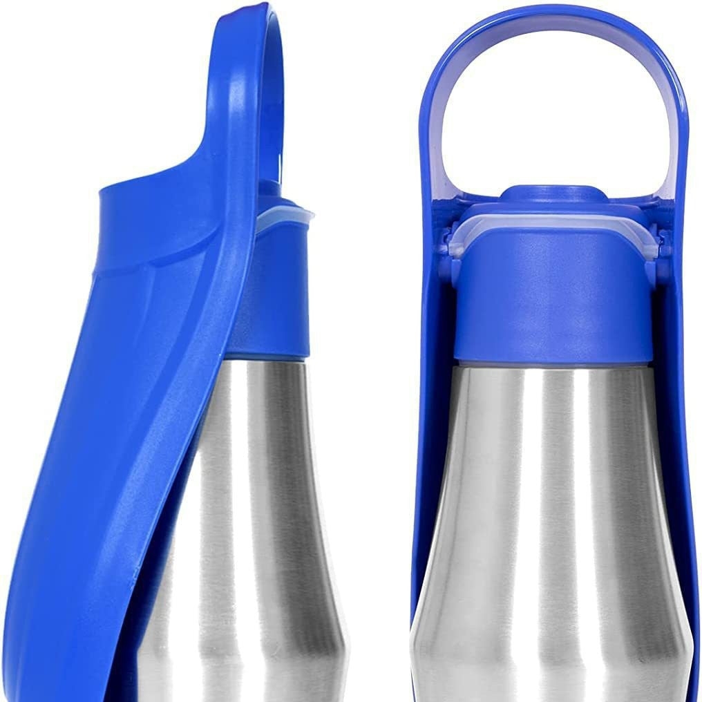 Stainless steel dog water bottle in dark green — 6-hour cold retention | Pawnests