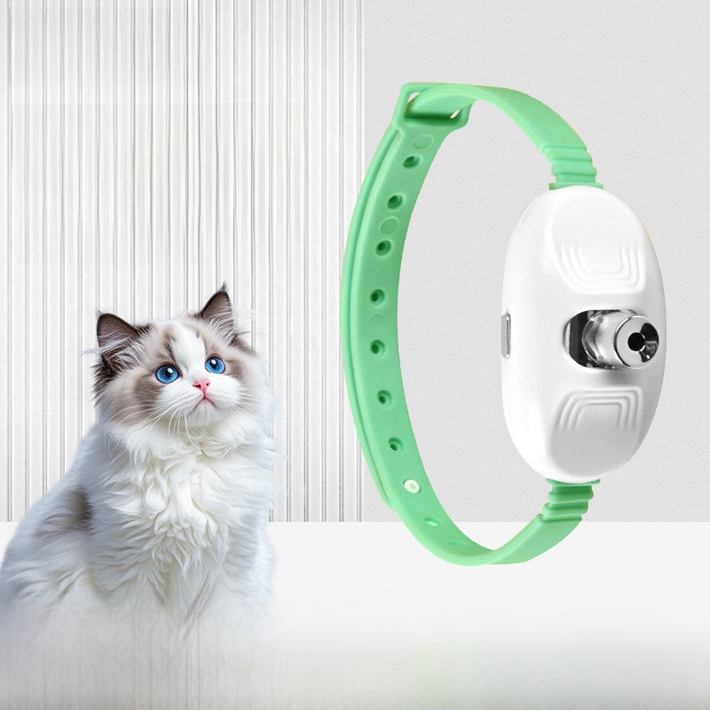 Cat playing independently with laser collar projection | Pawnests