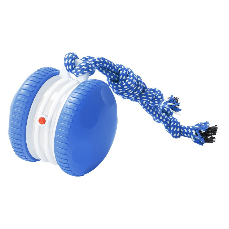 Automatic pet ball launcher with included pet ball | Pawnests