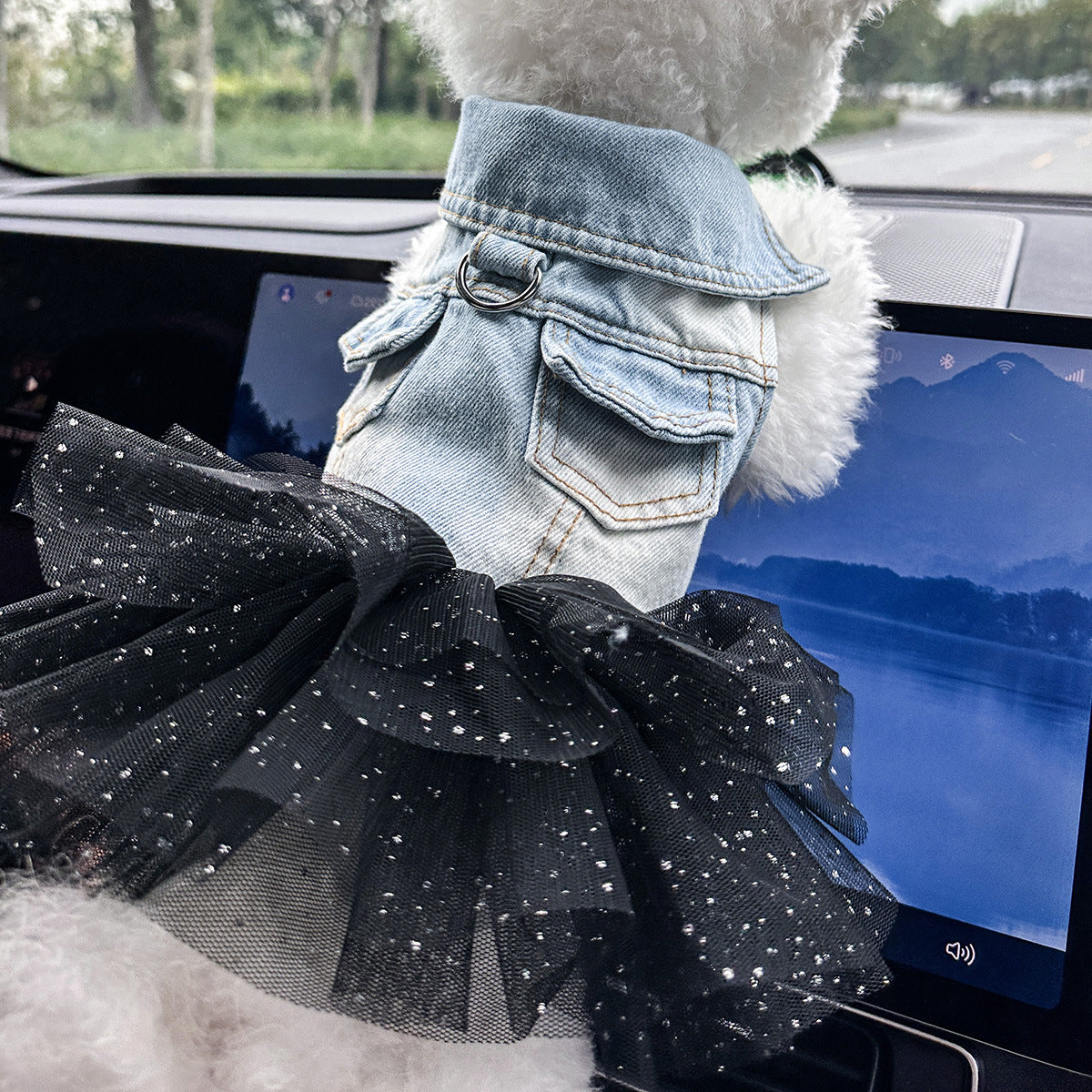 Pet denim skirt back view — well-fitted summer dress for small pets | Pawnests