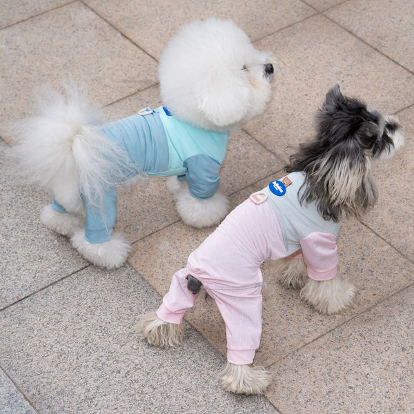 Dog wearing pink breathable mesh four-leg suit — summer pet outfit | Pawnests
