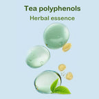 Tea polyphenol and herbal essence pre-soaked pet finger wipes | Pawnests