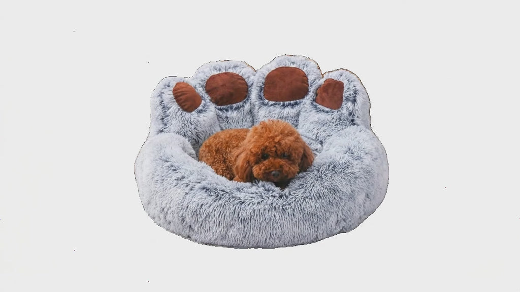 Premium Orthopedic Dog Sofa Bed