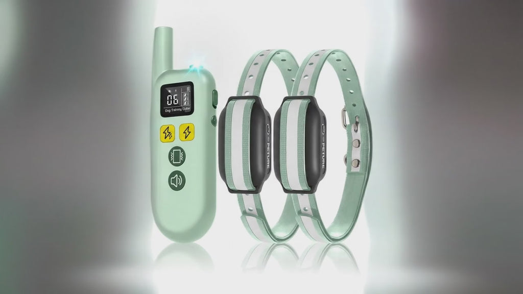 Dog Training E-Collar | IPX7 Waterproof 3300ft Remote for 2 Dogs