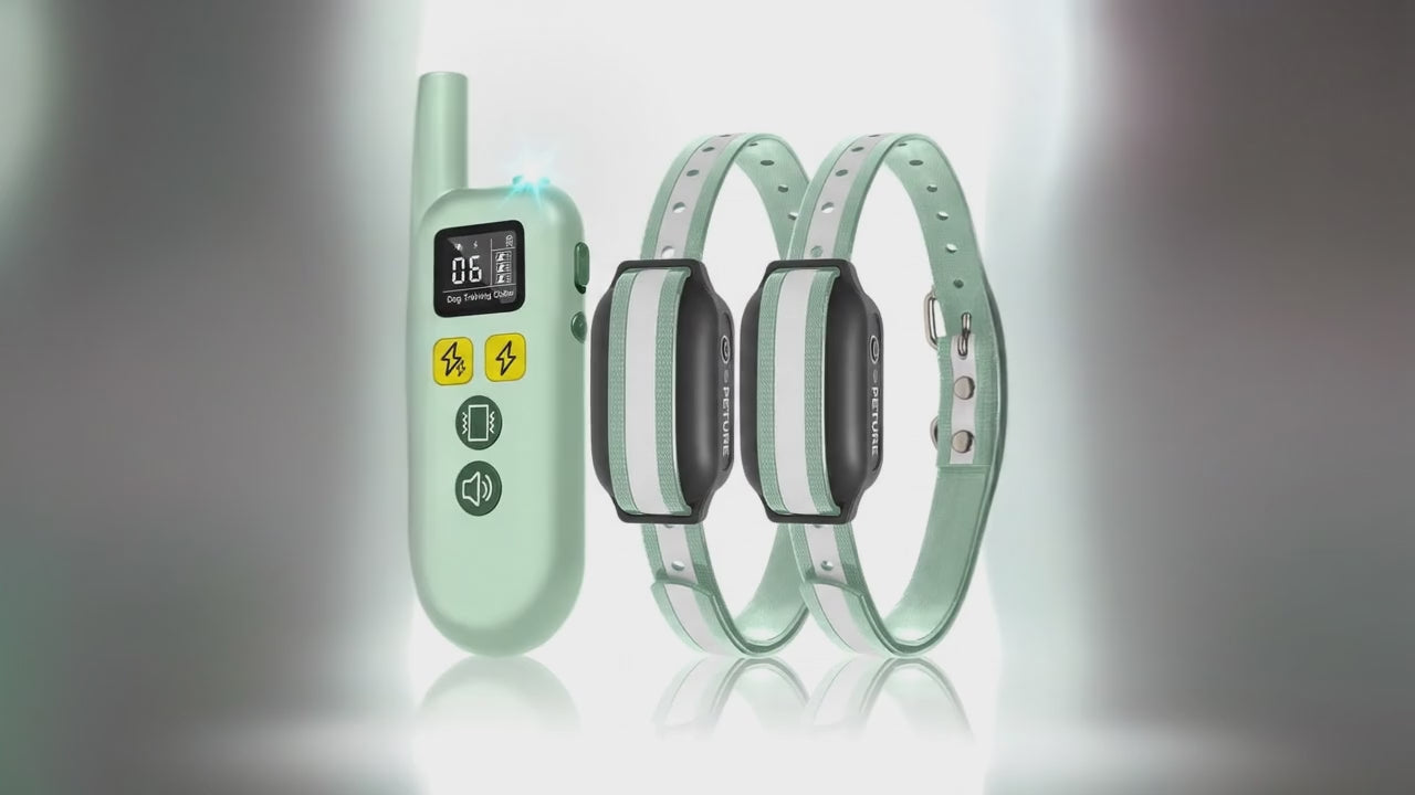Dog Training E-Collar | IPX7 Waterproof 3300ft Remote for 2 Dogs