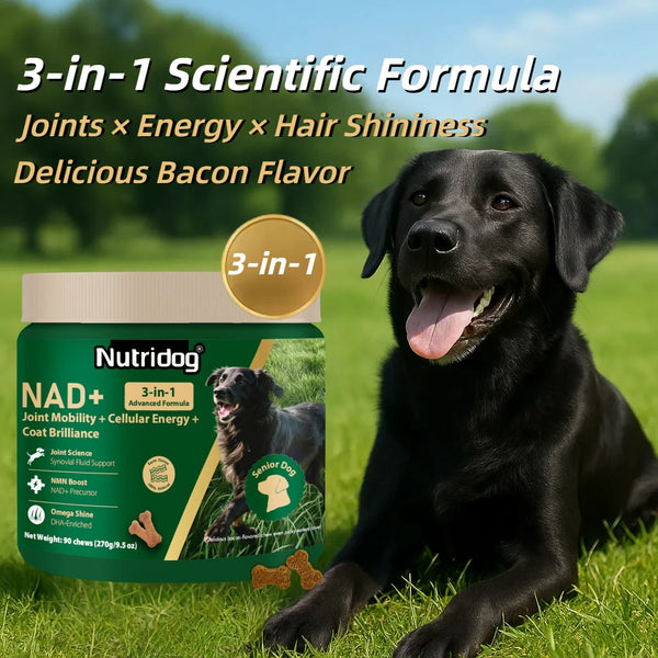 Senior dog vitamins 3-in-1 NAD+ soft chews bottle — 90 count | Pawnests