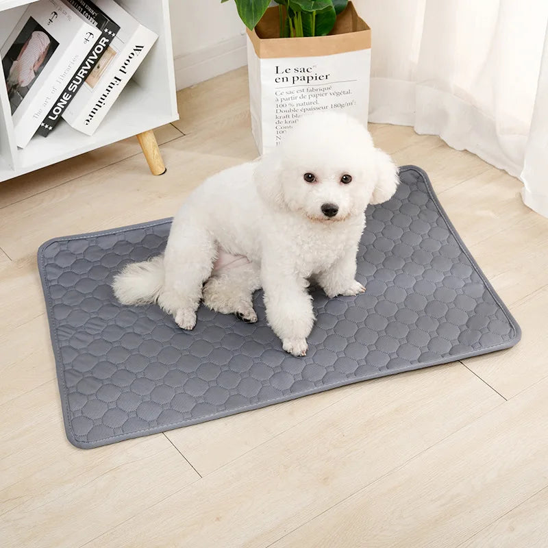 White puppy sitting on a grey quilted washable dog pee pad | Pawnests